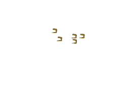 logo_white_big